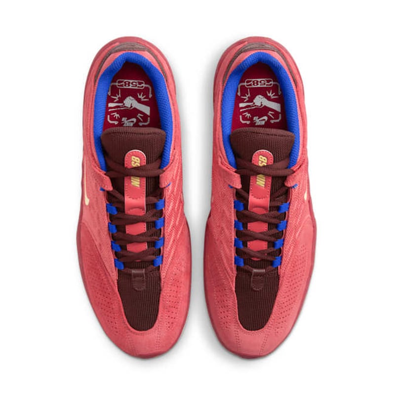 Nike SB Vertebrae FZ4878-600 04