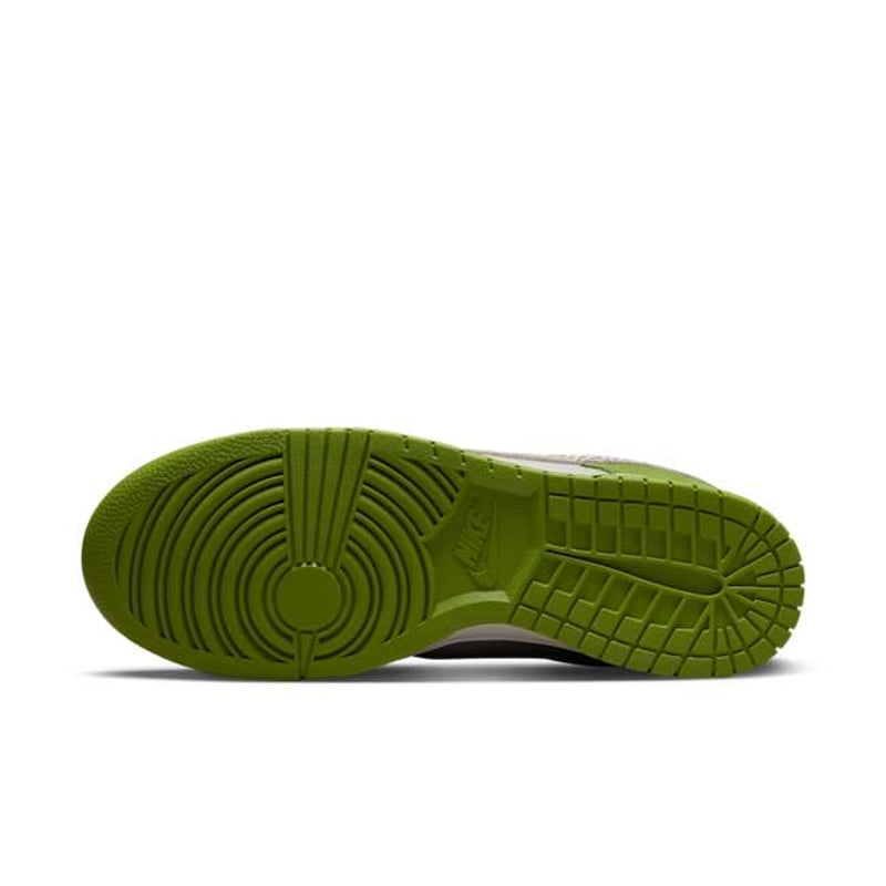 Nike Dunk Low DR0156-300 02