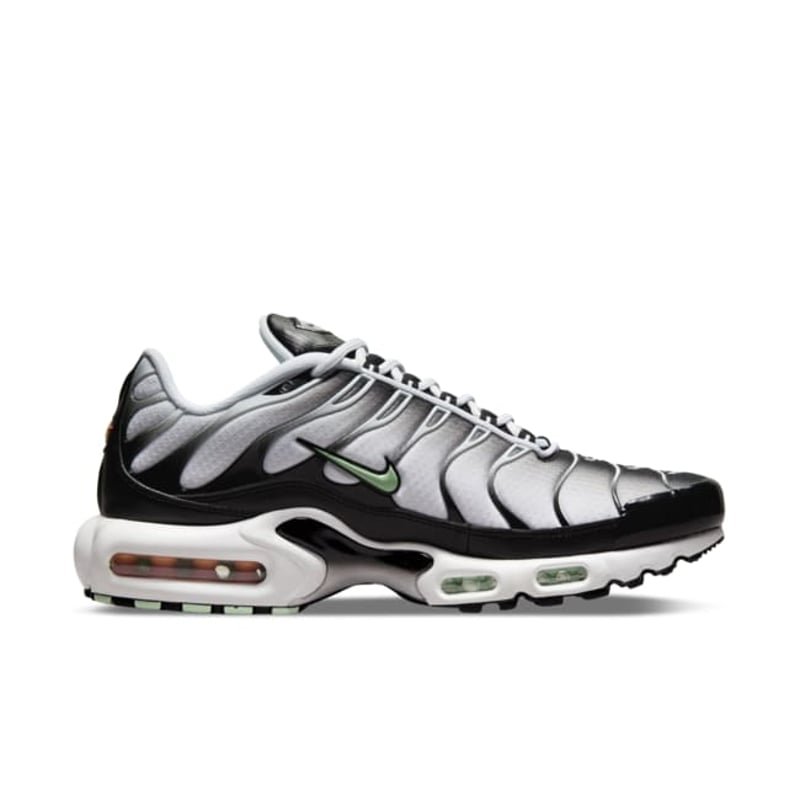 Nike Air Max Plus DH4776-100 04