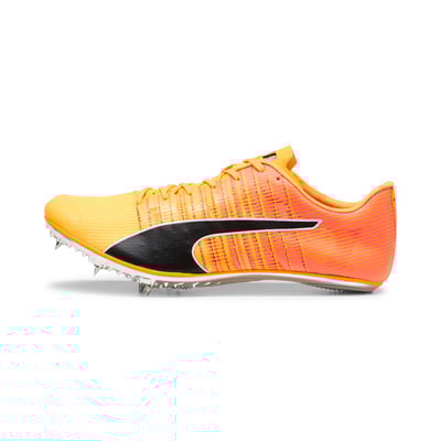 Puma evoSPEED Brush 6 380022-01