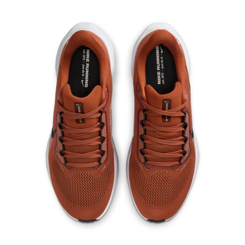 Nike Pegasus 41 IB3247-800 04