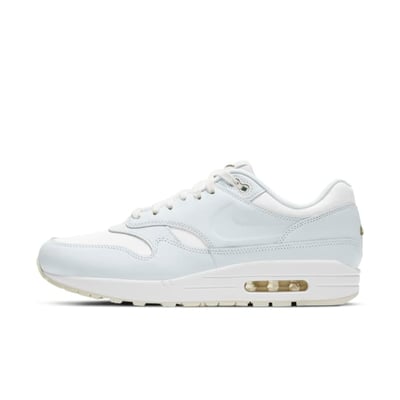 Nike Air Max 1 DH5493-100