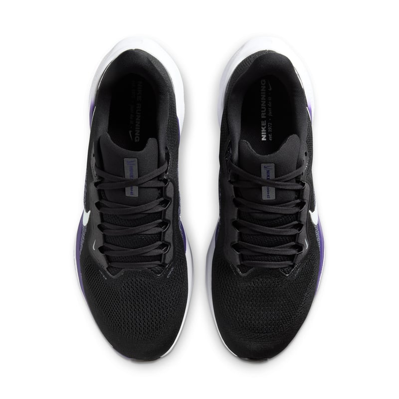 Nike Pegasus 41 FZ5143-002 04