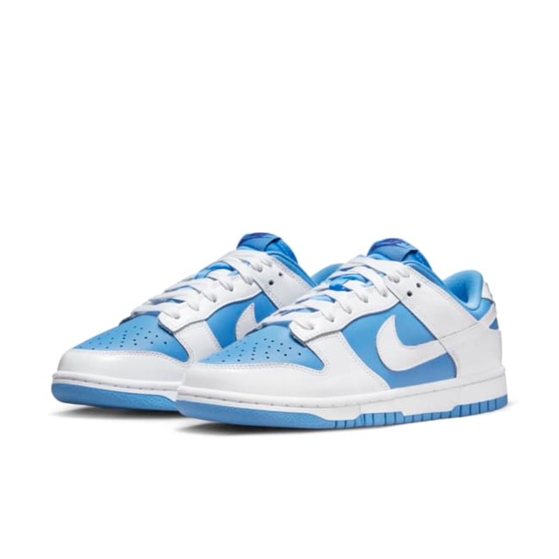 Nike Dunk Low DJ9955-101 05