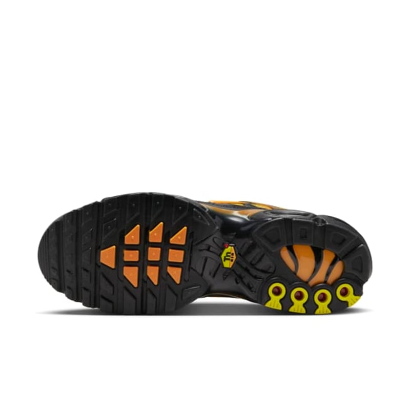 Nike Air Max Plus DM0032-007 02