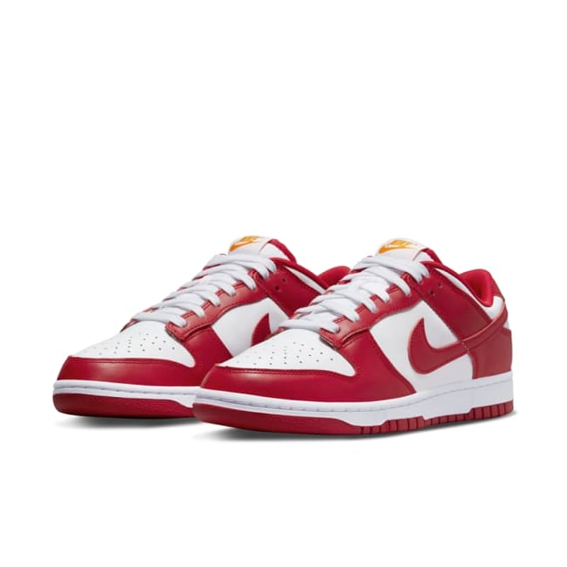 Nike Dunk Low Retro DD1391-602 05