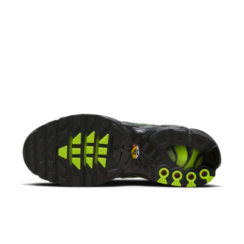 Nike Air Max Plus FQ2381-001 02