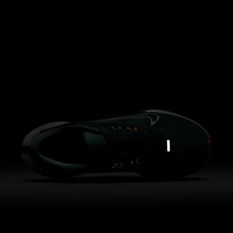 Nike Juniper Trail 2 GORE-TEX HM9734-301 09