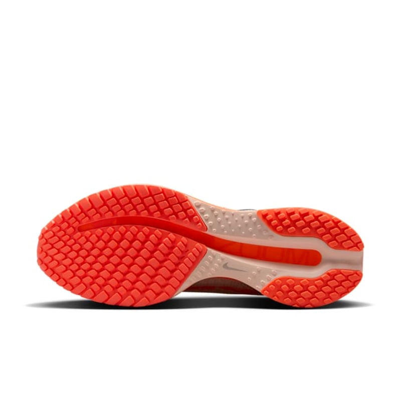 Nike Pegasus Premium II6308-600 02