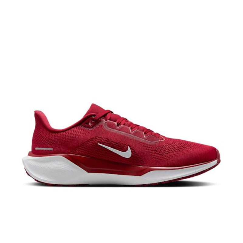 Nike Pegasus 41 FZ5142-600 03