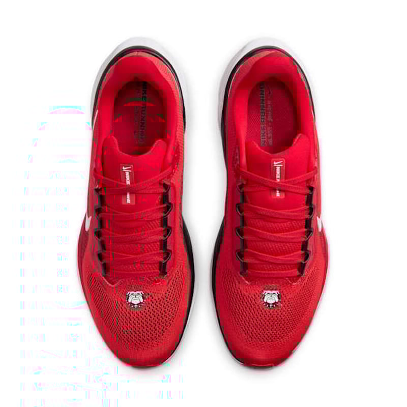 Nike Pegasus 41 FZ5115-600 04