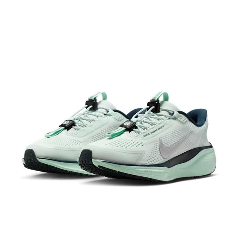 Nike Pegasus EasyOn FQ7844-400 05