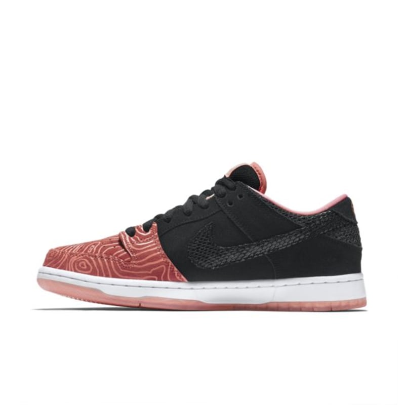 Nike SB Dunk Low Pro x Premier 313170-603 03