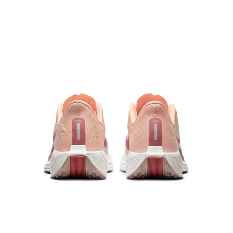 Nike Pegasus Plus FQ7261-800 06