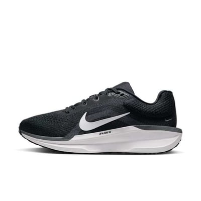 Nike Winflo 11 FJ9510-001