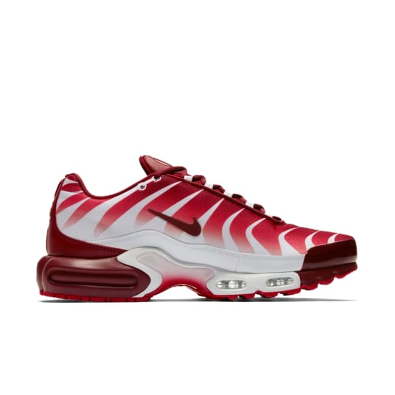 Nike Air Max Plus AQ0237-101 03