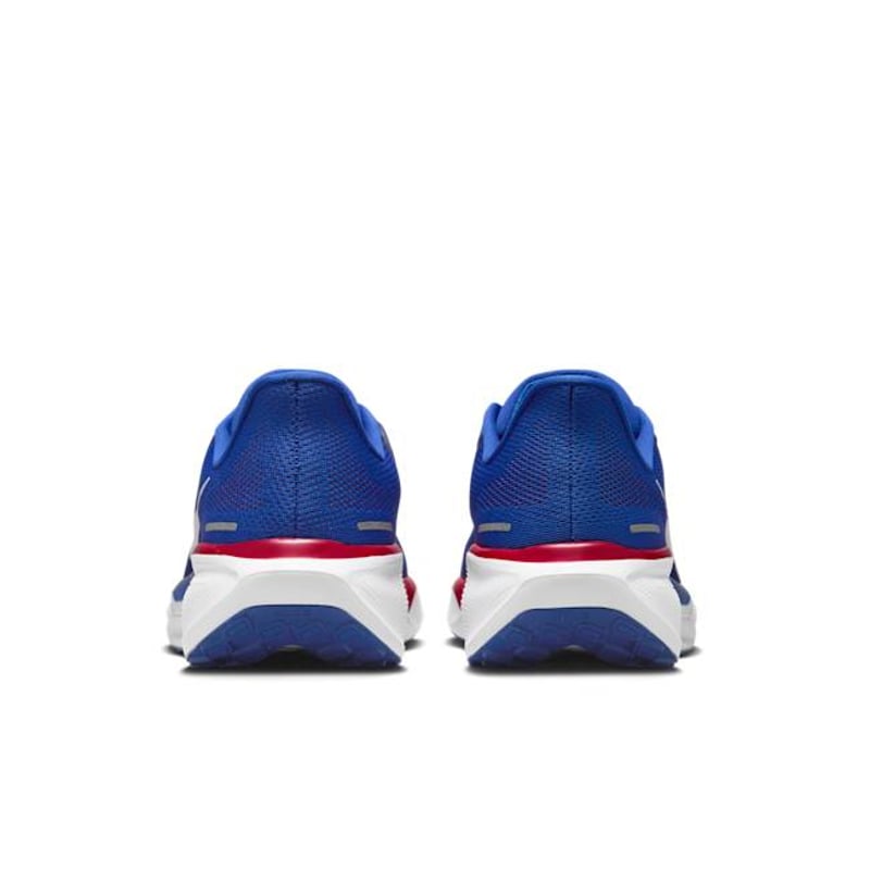 Nike Pegasus 41 x NFL FZ5088-400 06