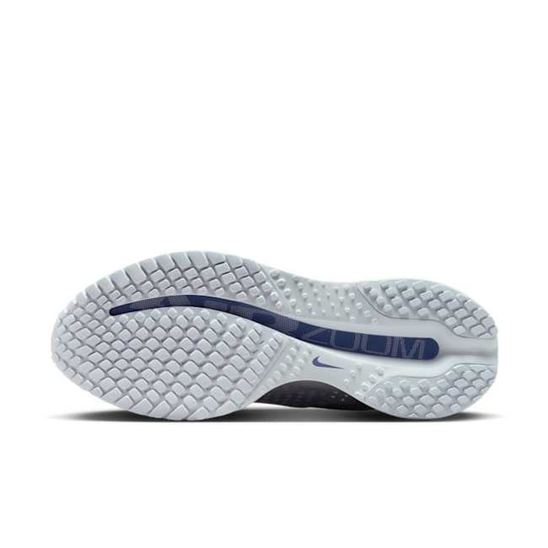 Nike Pegasus Premium HQ2593-006 02