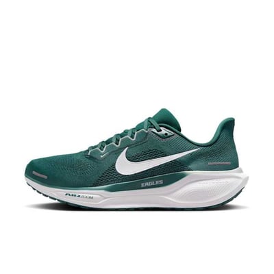 Nike Pegasus 41 x NFL FZ5083-300