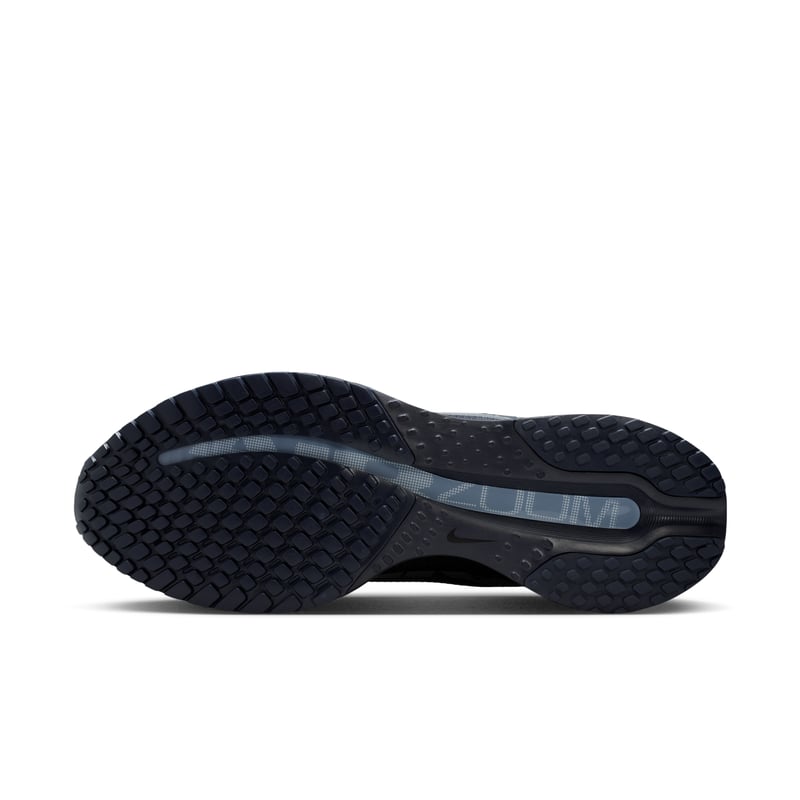Nike Pegasus Premium HQ2592-405 02