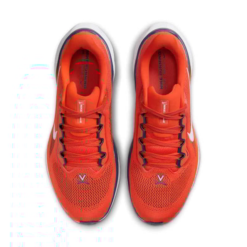 Nike Pegasus 41 FZ5151-800 04