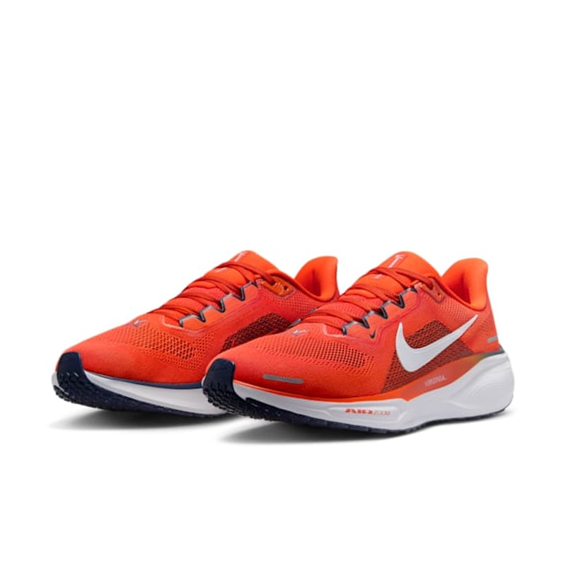 Nike Pegasus 41 FZ5151-800 05