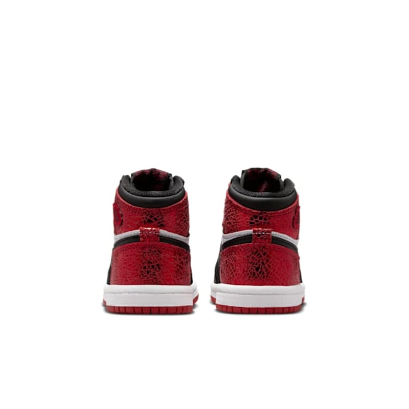 Jordan 1 Retro High OG FD2598-602 06