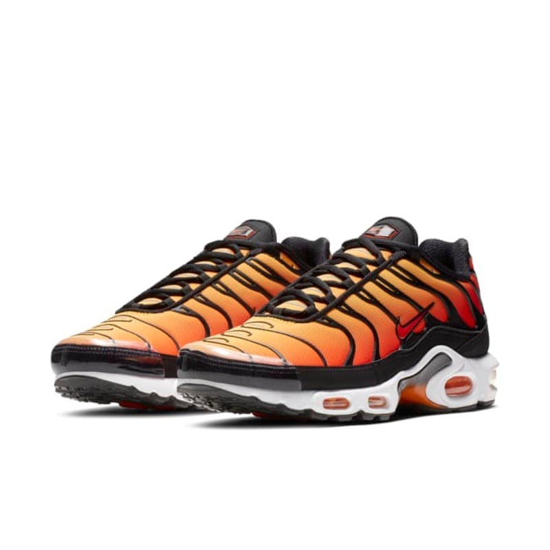 Nike Air Max Plus BQ4629-001 05