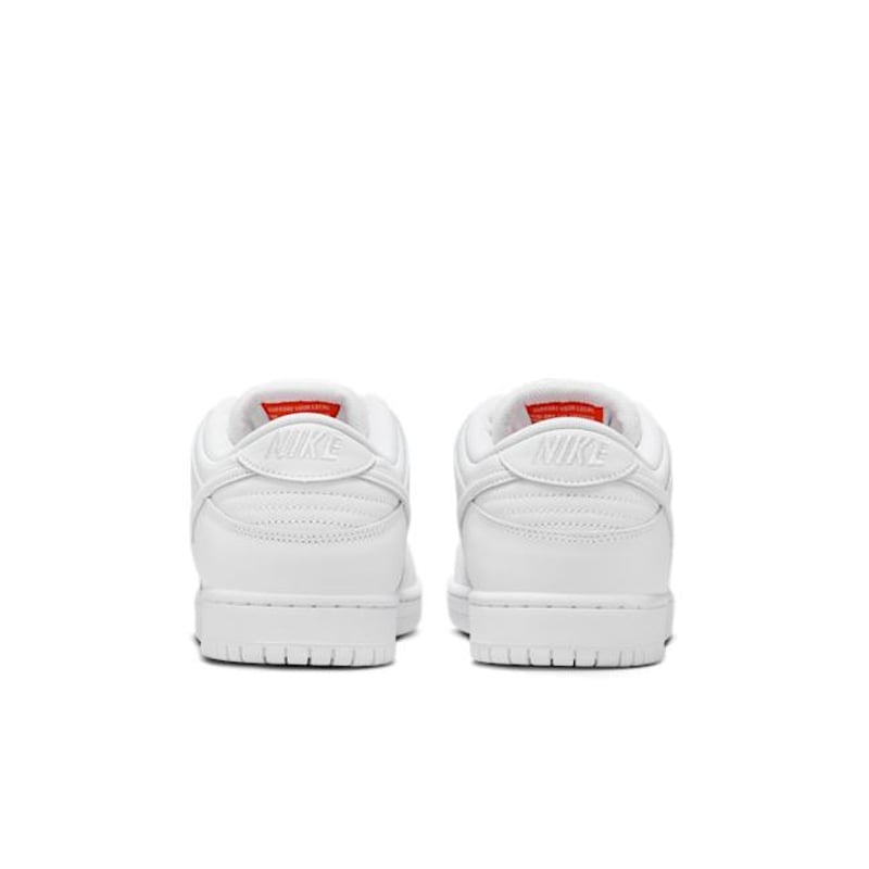 Nike SB Dunk Low Pro FJ1674-100 06