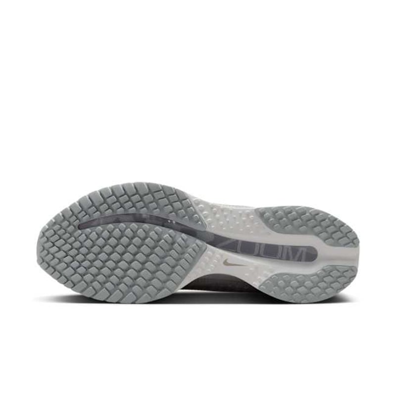 Nike Pegasus Premium HQ2592-007 02