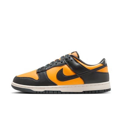 Nike Dunk Low HF5441-700