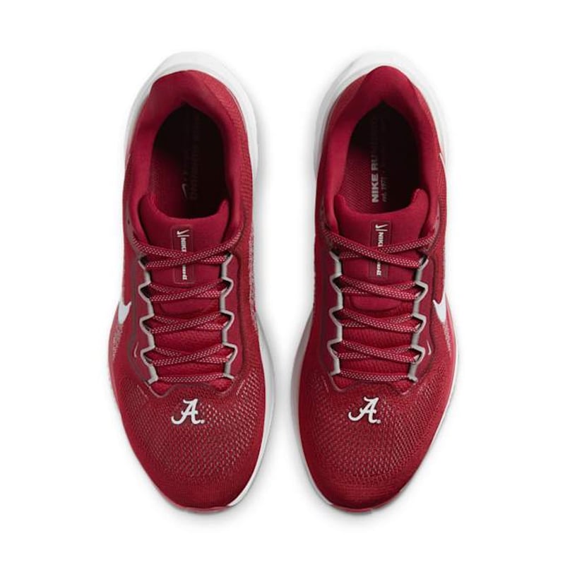 Nike Pegasus 41 FZ5103-600 04