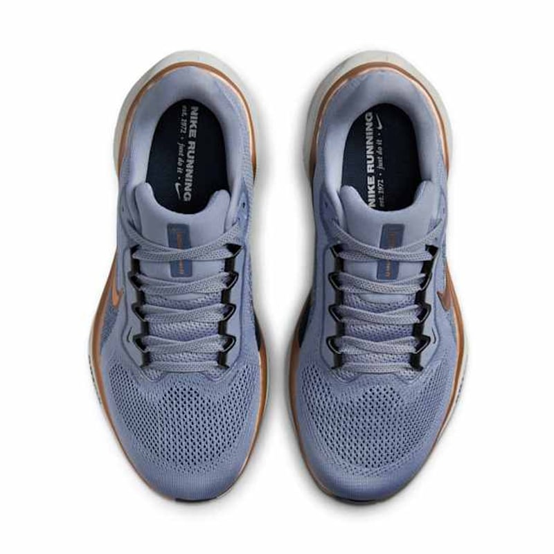 Nike Pegasus 41 (Extra Wide) FQ0965-403 04