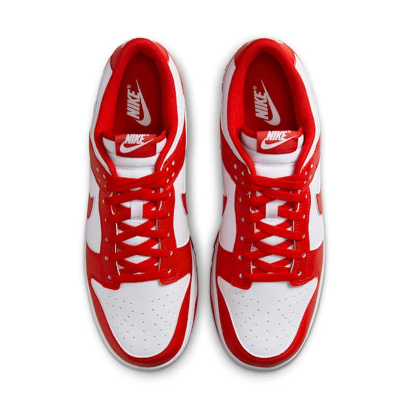 Nike Dunk Low HF5441-104 04