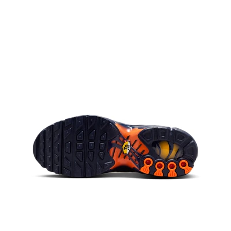 Nike Air Max Plus CD0609-700 02