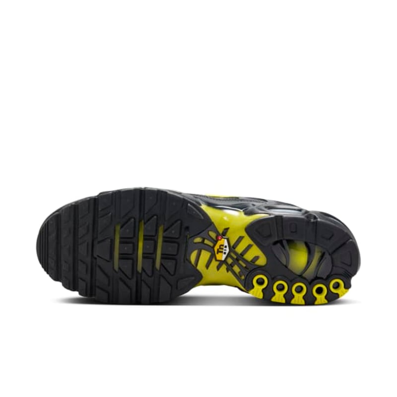 Nike Air Max Plus DM0032-012 02