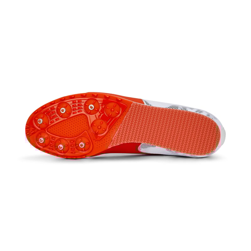 PUMA evoSPEED Star 8 377959-03 02