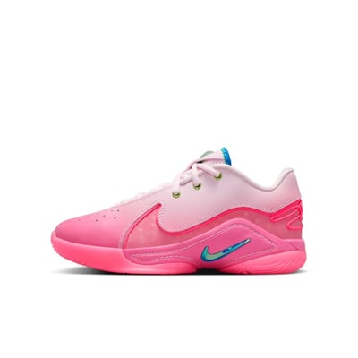 Nike LeBron 22 HV8617-600