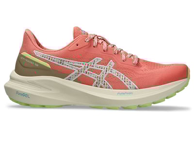 ASICS GT-1000 13 Tr Nature Bathing 1012B828-700