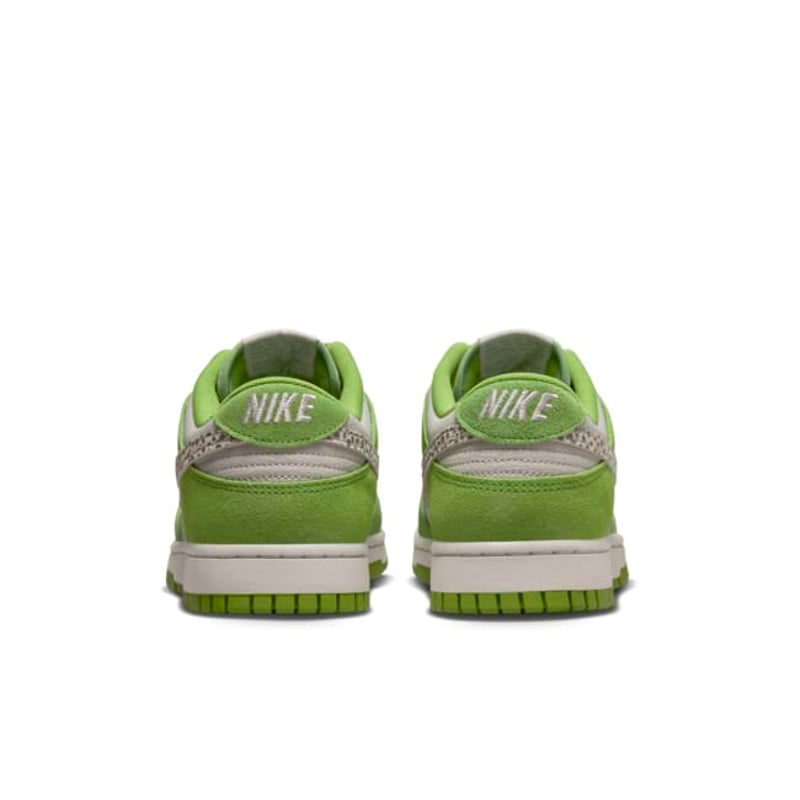 Nike Dunk Low DR0156-300 06
