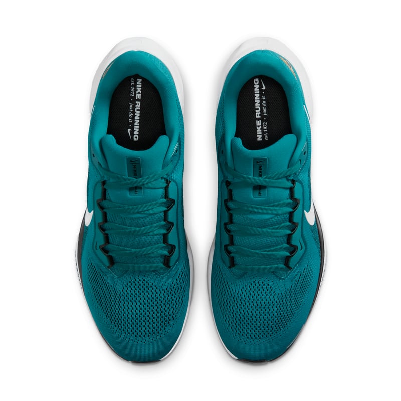Nike Pegasus 41 x NFL IB3196-400 04
