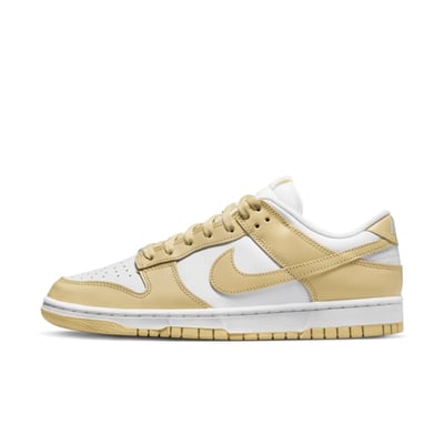 Nike Dunk Low Retro DV0833-100