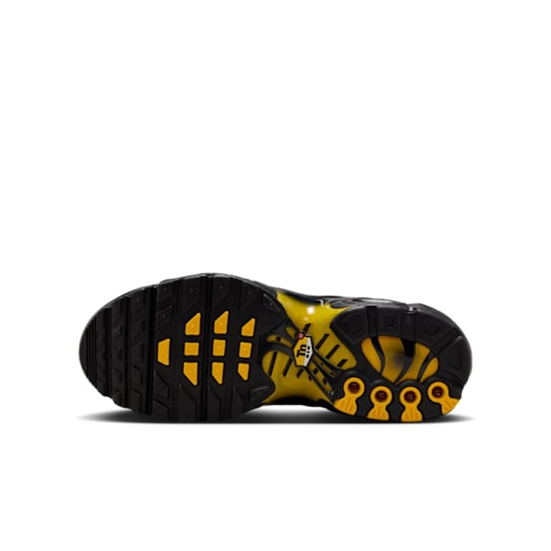 Nike Air Max Plus IB2870-001 02