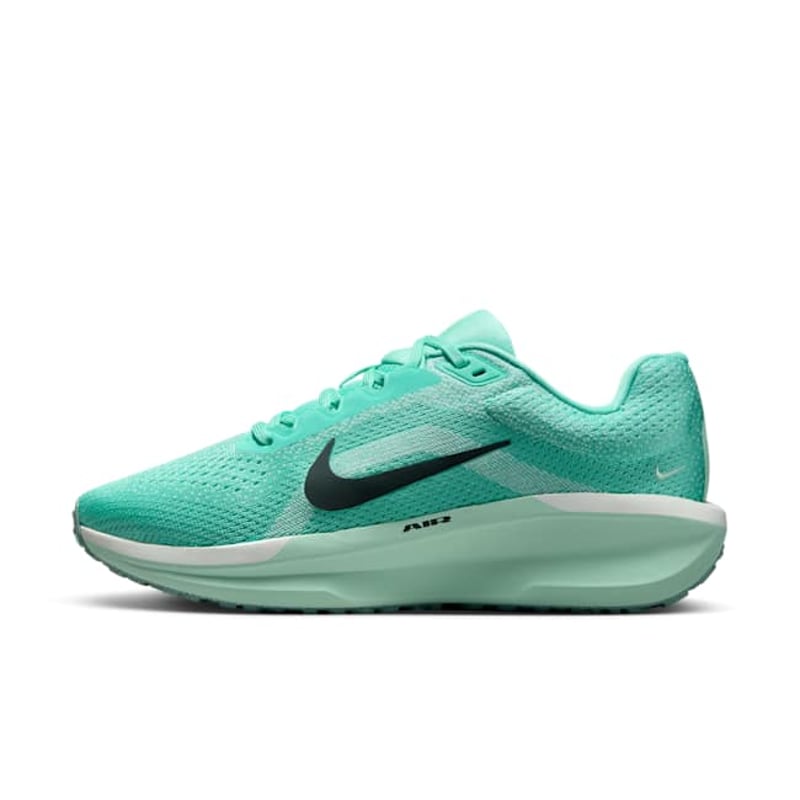 Nike Winflo 11 FJ9510-305 01