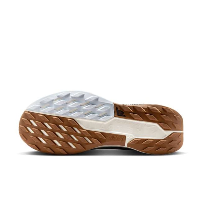 Nike Pegasus Trail 5 DV3864-103 02