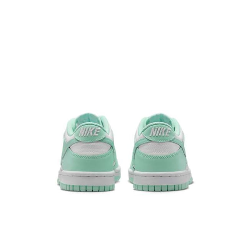 Nike Dunk Low FZ3534-100 06