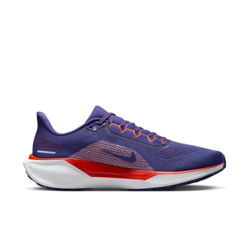 Nike Pegasus 41 FZ5108-500 03