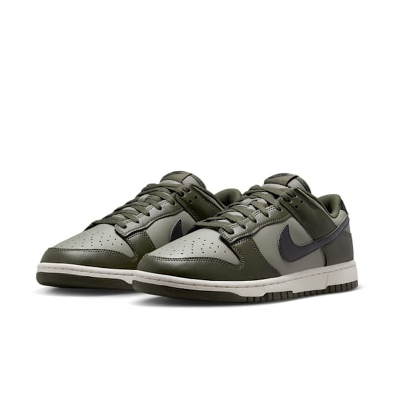 Nike Dunk Low HF5441-300 05