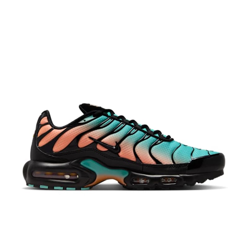 Nike Air Max Plus DM0032-022 03