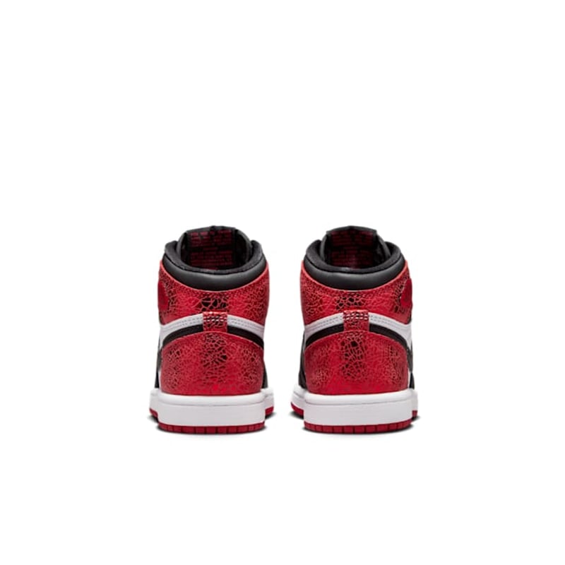 Jordan 1 Retro High OG FD2597-602 06